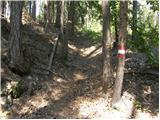 Lavamünd - Huhnerkogel/Košenjak